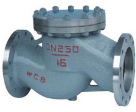 Lift Check Valve